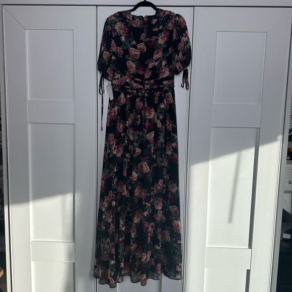 Gal Meets Glam Ashlynn floral print chiffon maxi Size 4 (q1) - Picture 6 of 9